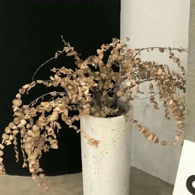 Furry绘画光影解析兽圈社群